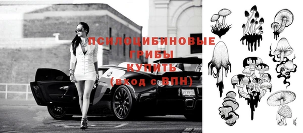 круглые Ельня