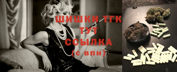 круглые Ельня