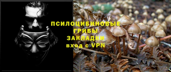 стафф Елабуга