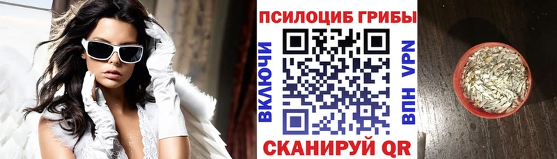 Галлюциногенные грибы Cubensis  Купить где  Кувшиново 