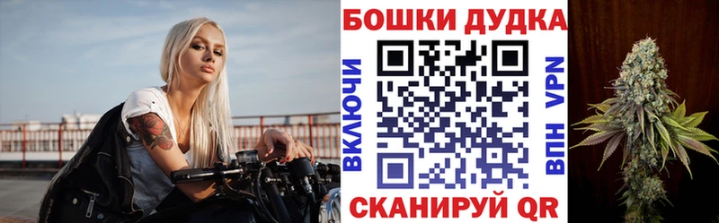 Каннабис планчик  Купить где  Кувшиново 